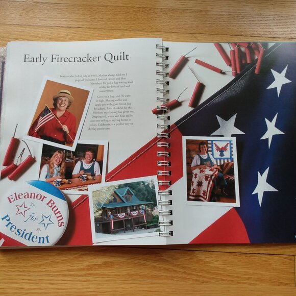 Quilting Pattern Book "Still Stripping" by Eleanor Burns Quilt in a Day - Picture 7 of 11